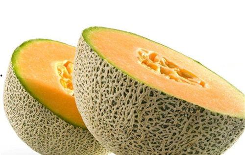 朱元璋吃哈密瓜,哈密瓜的宫廷传奇