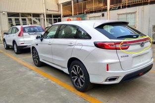 东风本田吃瓜,揭秘汽车行业背后的风云涌动