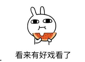 专注吃瓜的猹,揭秘娱乐圈的“瓜田”奇闻轶事