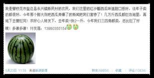 电子商务吃瓜,揭秘吃瓜群众的购物狂欢