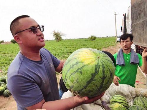 贺阳吃瓜,揭秘娱乐圈背后的那些事儿