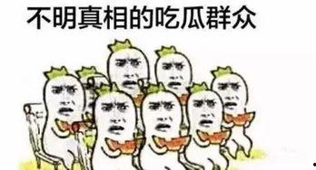只吃瓜的吃瓜群众,他们眼中的娱乐圈风云