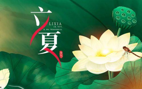 立夏吃立夏瓜,品味立夏瓜的独特风味