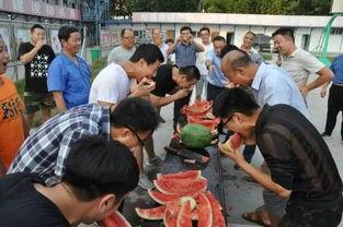 吃瓜比赛活动组织,吃瓜比赛狂欢活动精彩回顾