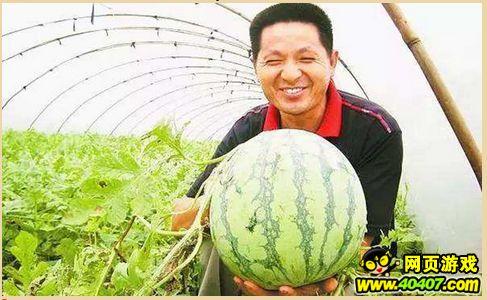 吃瓜体系,网络时代下的舆论风向标