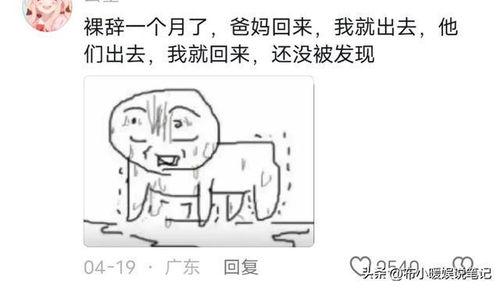 吃瓜网友号,网络舆论场中的“瓜王”传奇