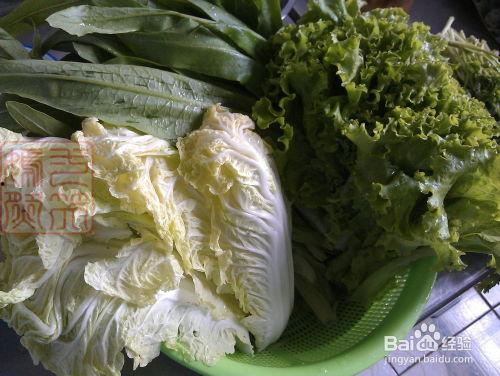 团团圆圆吃瓜,共享欢乐时光