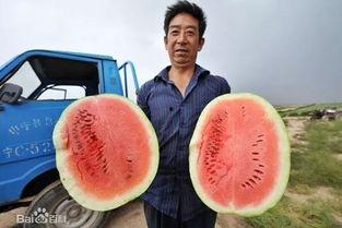 吃瓜地址已有,探寻网络八卦背后的真相