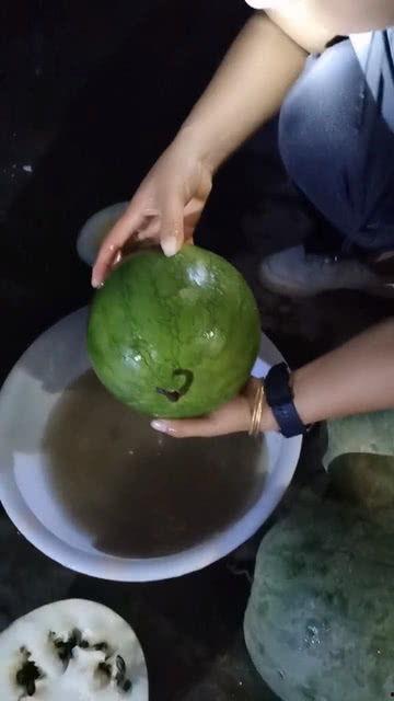 什么瓜都没吃,揭秘“什么瓜都没吃”背后的神秘故事