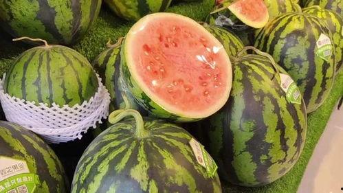 吃瓜每日看,吃瓜每日看，热点事件一网打尽