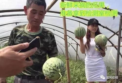 瓜棚下的吃瓜群众